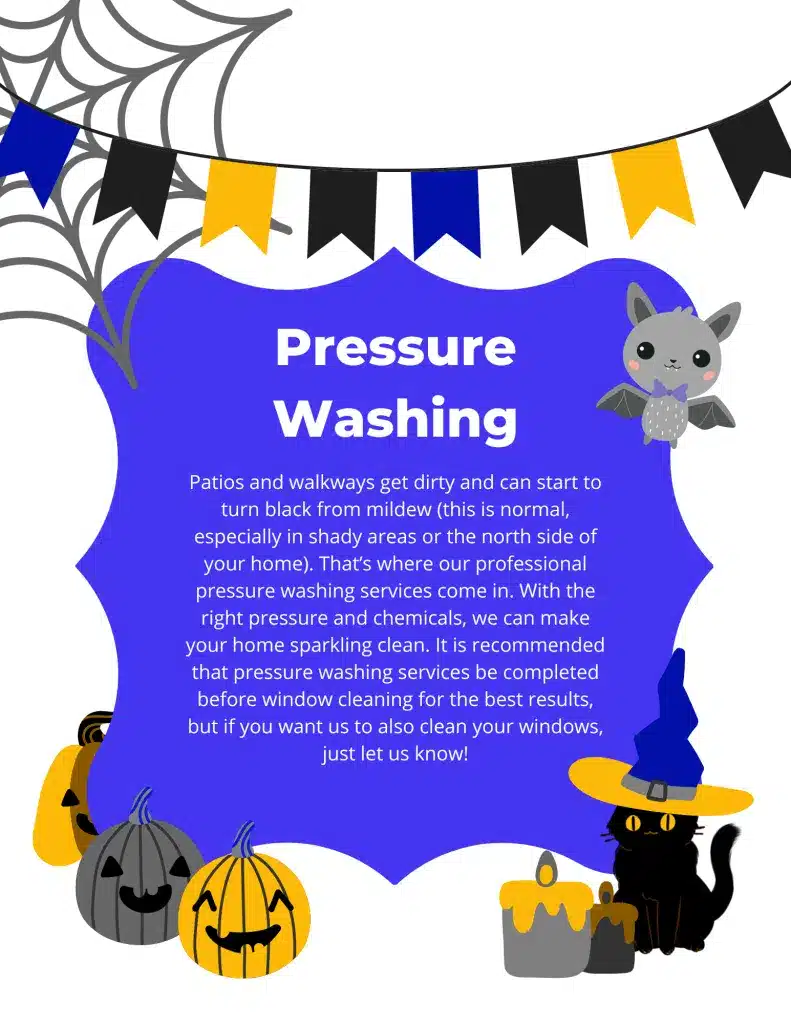 Pressure Washing 1