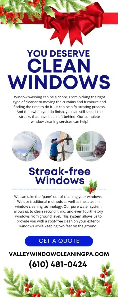 You Deserve Clean Windows! 1