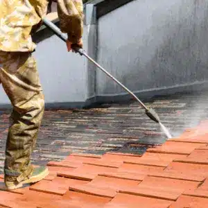 Read more about the article The Difference Between Pressure Washing & Soft Washing